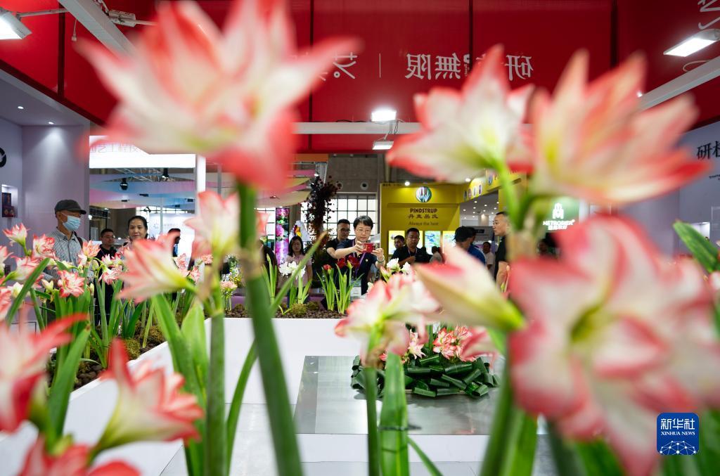 庄闲技巧一胜二追三